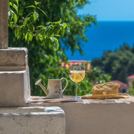 Villa Flores Garden Dubrovnik Ngoại thất bức ảnh