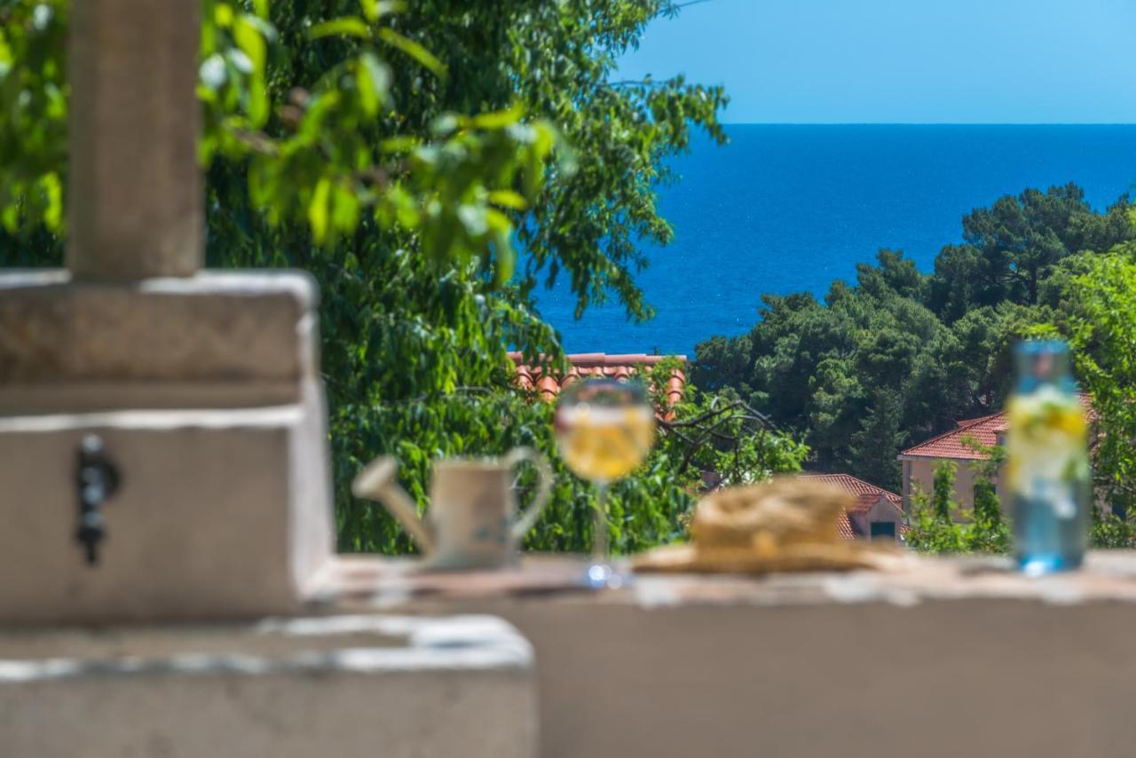 Villa Flores Garden Dubrovnik Ngoại thất bức ảnh
